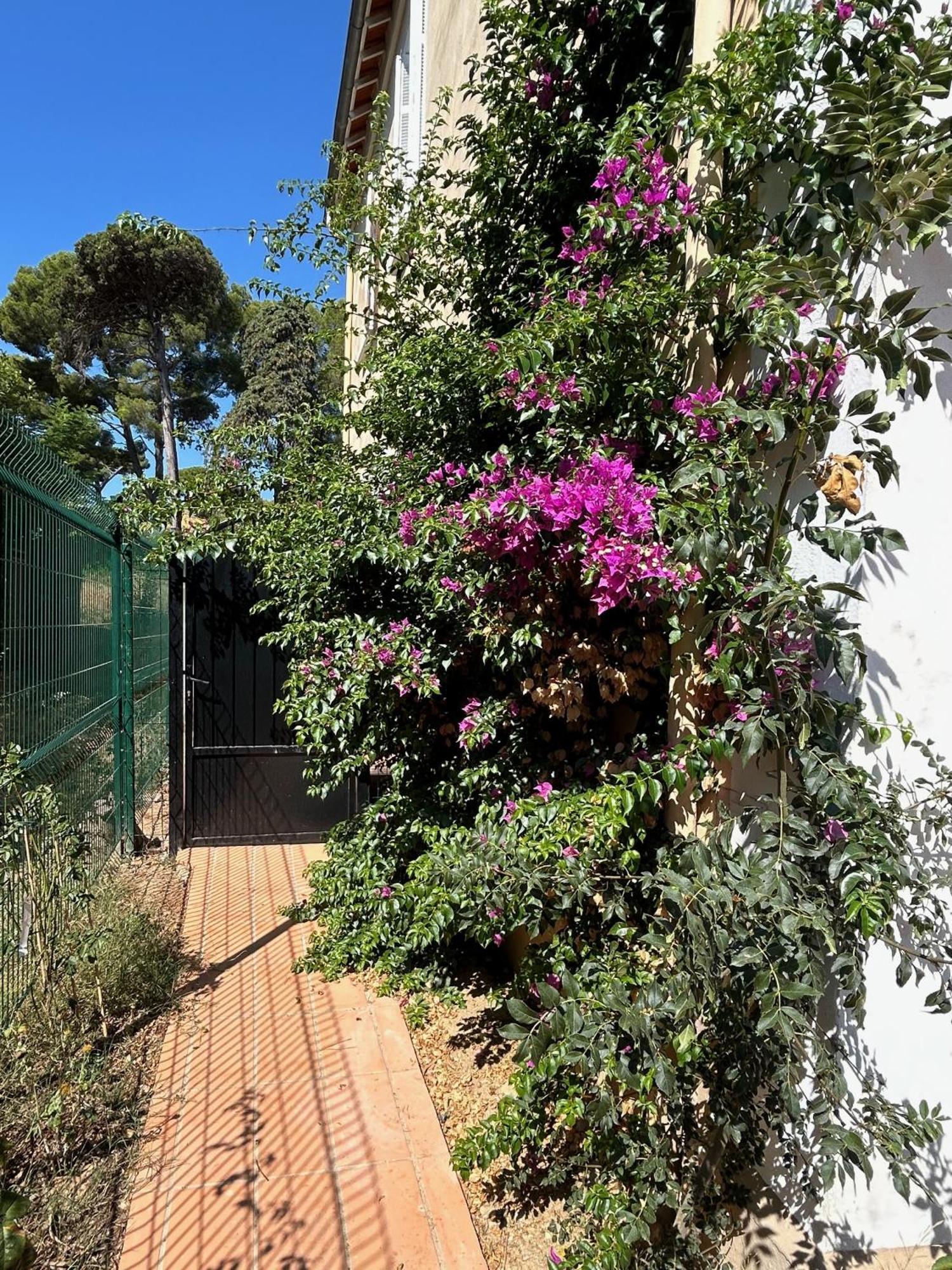 Villa Les Lys 2 La Seyne-sur-Mer Bagian luar foto